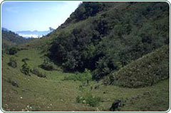 deepest_caves_mexico