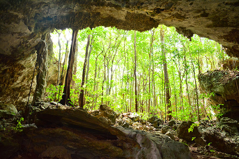 Río Secreto · cavernas y río subterráneo 6